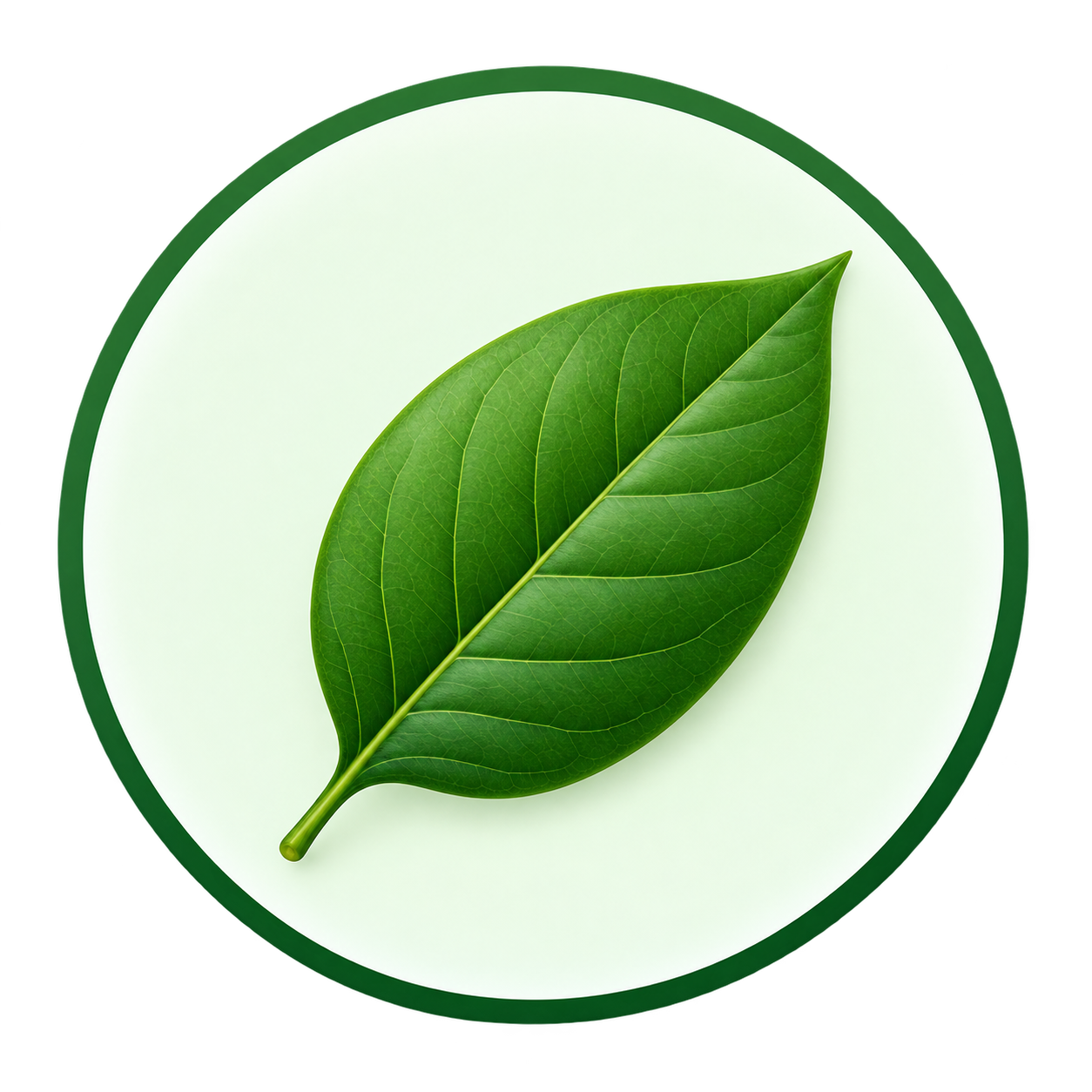 Green leaf
